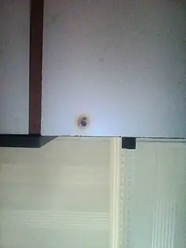 Moorella1 webcam