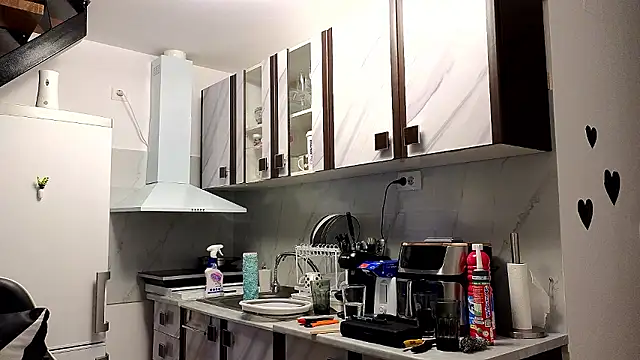 RyanStorm_ webcam