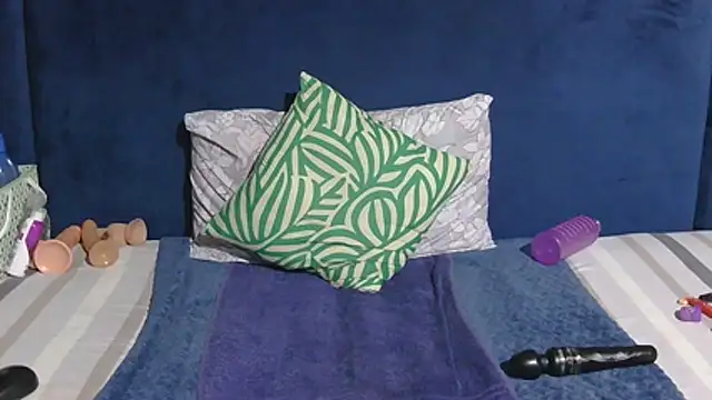 Melitaxx webcam