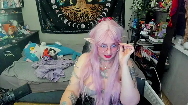 crystal_musee webcam