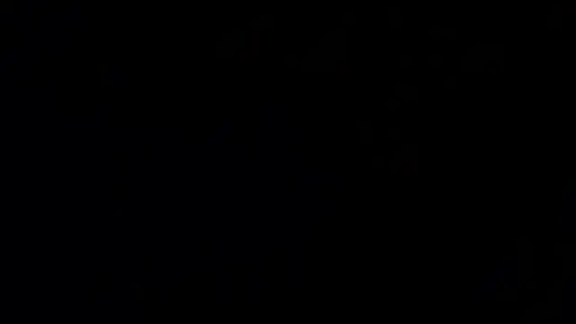 Damian64420