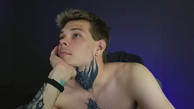 DENIS_HERE webcam