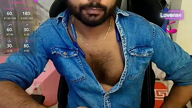 Silvershadde webcam