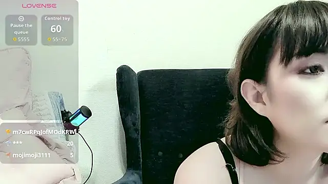 SAUo webcam