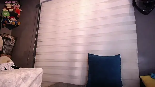 dirty_27cms webcam