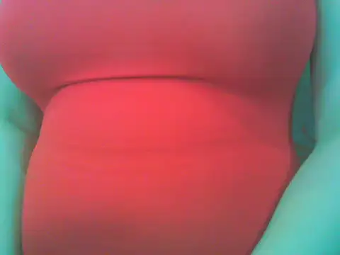 keepmepregnantT