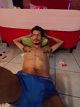 OCamBoy webcam