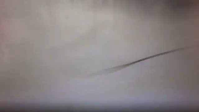 madzbailey webcam