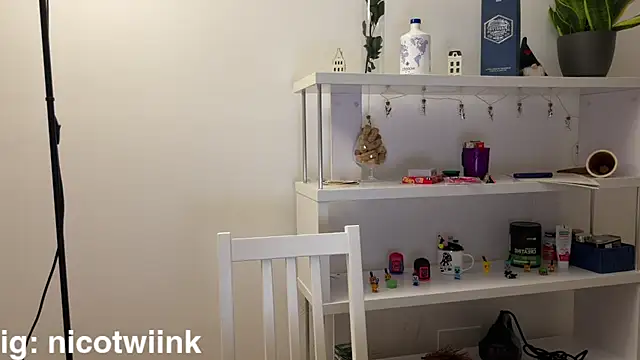 twiinknico webcam