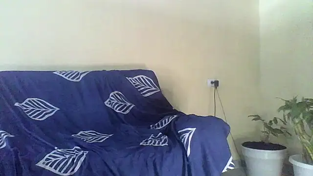 risayfallow webcam