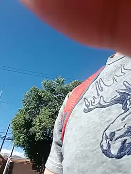Perci8713 webcam