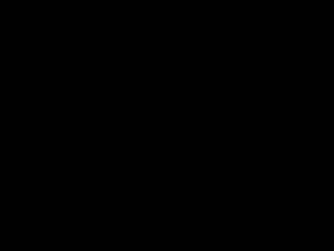 Sexyrkv91 webcam