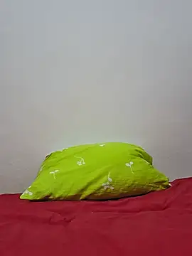 altinya webcam