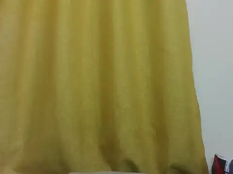 PrettyEve webcam