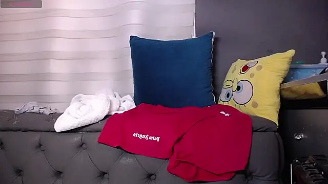 dirty_27cms webcam