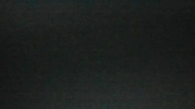 ellie_leiss webcam