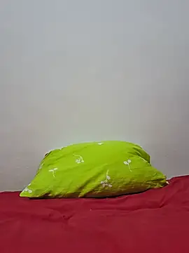 altinya webcam