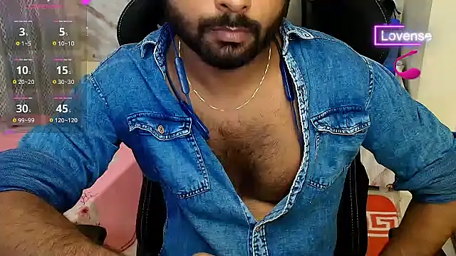 Silvershadde webcam