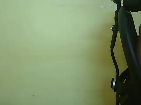 Aniee2 webcam