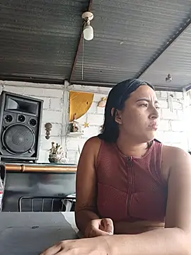 Ann_Houston_ webcam