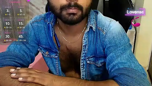 Silvershadde webcam
