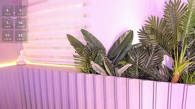 stephanymonroe live cam preview