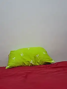 altinya webcam