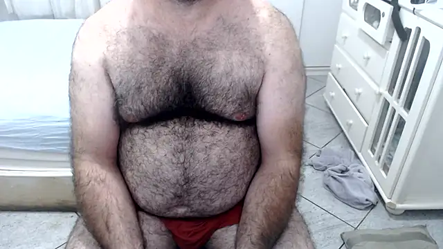 MysterBearMG webcam