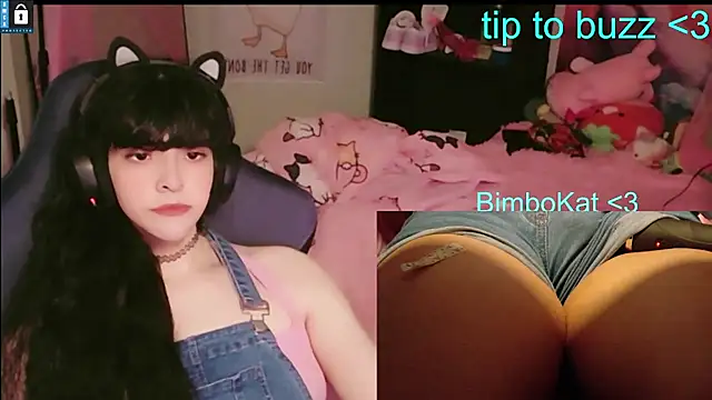 BimboCat webcam