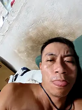 mmi9632 webcam