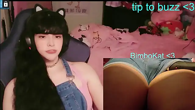 BimboCat webcam