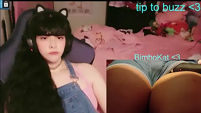 BimboCat webcam