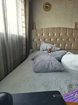 Dreams_sophi