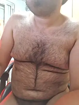 Javier_bear