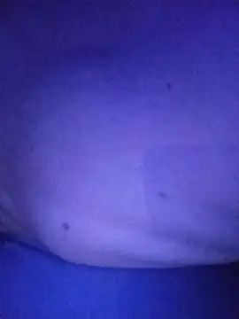 xoxoBoy34