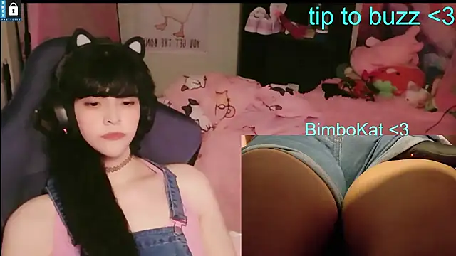 BimboCat webcam