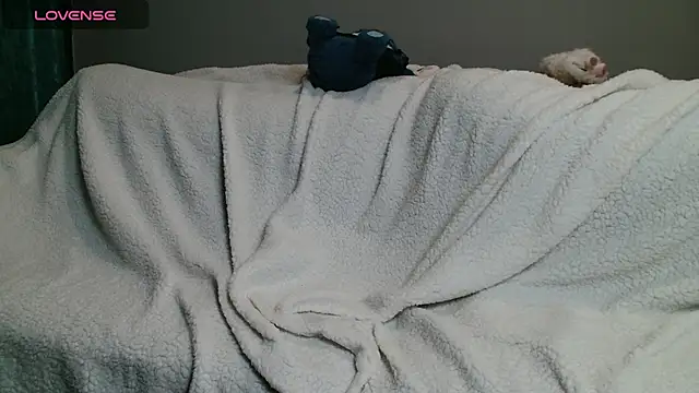 Bumblevibe webcam