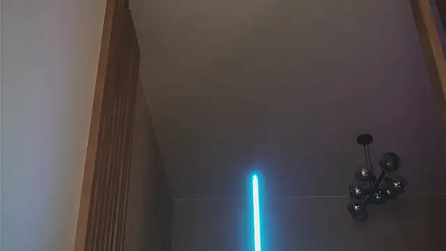 accept_cookie webcam