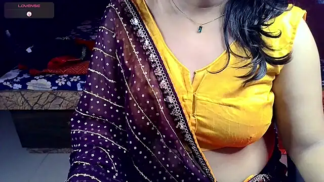 Wildsiren webcam
