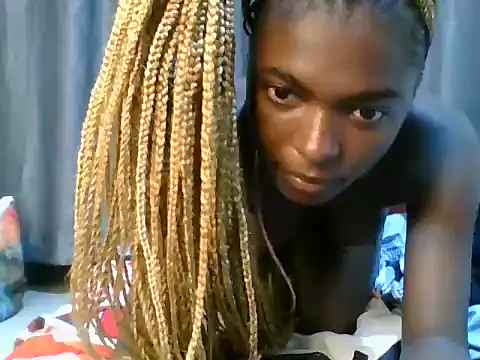 Littlebird12_ webcam