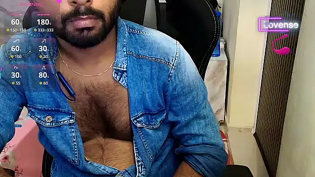Silvershadde webcam