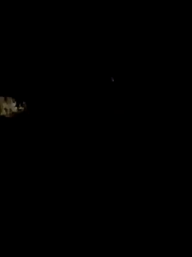 Lepimentsurpattes live cam preview
