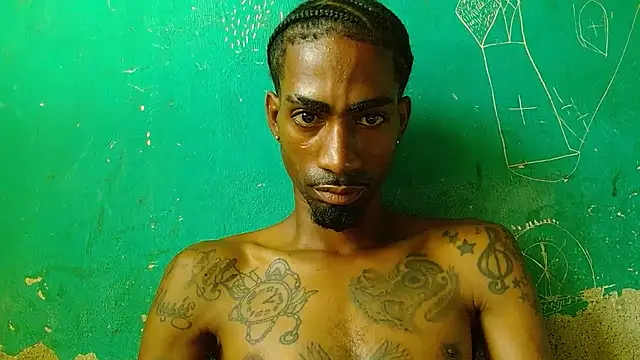 soypleve webcam