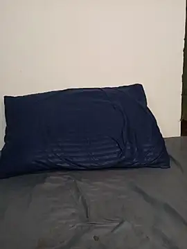 barbaratwerk webcam
