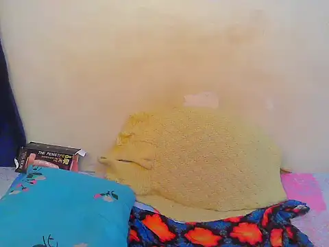 Slim_doli webcam