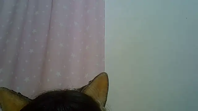 SkinnyKitten webcam
