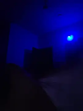 KingGrizz webcam