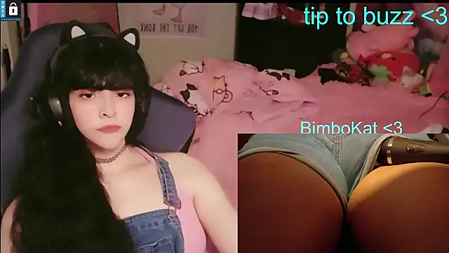 BimboCat