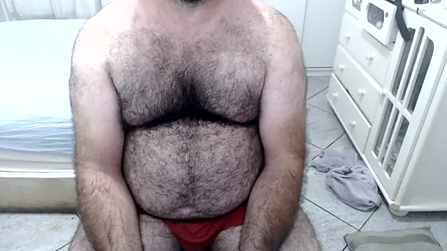MysterBearMG webcam