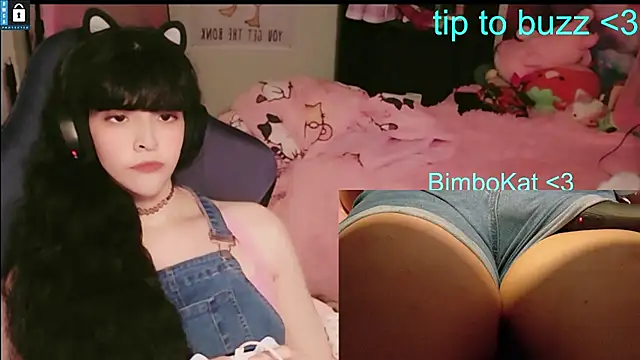 BimboCat